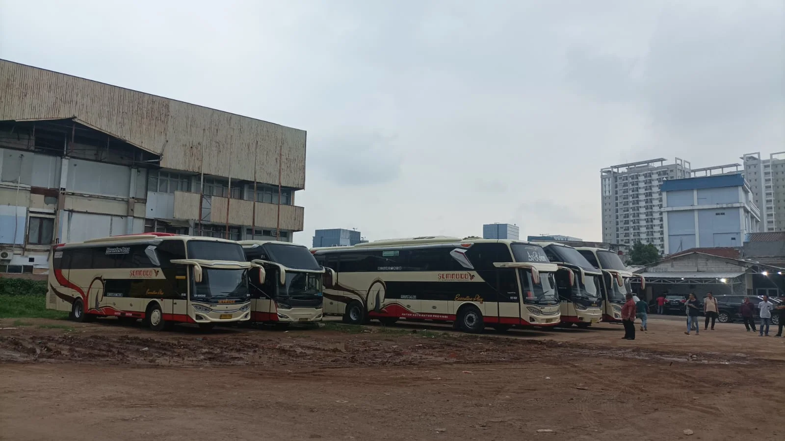 Deretan bus pariwisata Sembodo